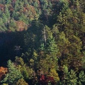 Red River Gorge in Fall 4.jpg